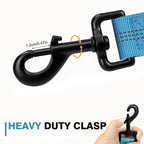 Heavy-Duty Bungee Dog Leash – 5ft Shock-Absorbing Lead with Dual Handles