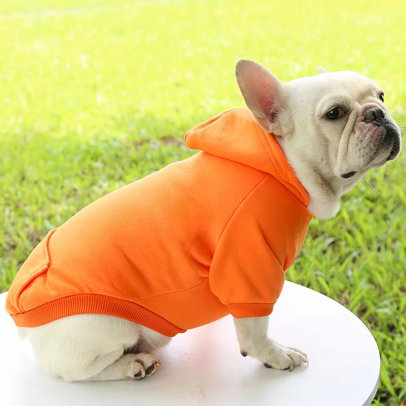 Cozy Winter Dog Hoodie – Warm Hooded Jacket for Small & Medium Dogs