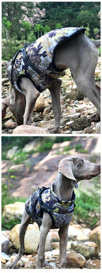 Waterproof Dog Jacket with Built-in Harness – Warm Winter Coat for Small to Large Breeds