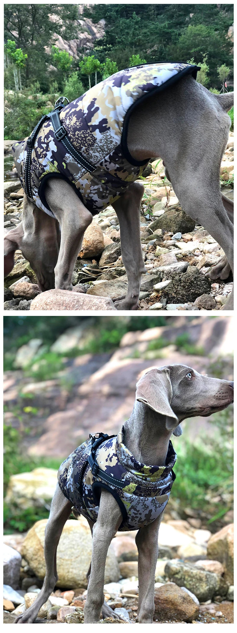 Waterproof Dog Jacket with Built-in Harness – Warm Winter Coat for Small to Large Breeds