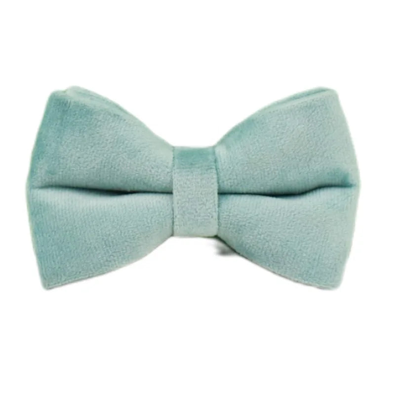 Green Velvet Personalized Dog Collar, Leash & Harness Set