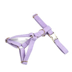 Purple Corduroy Dog Collar Leash and Harness Set