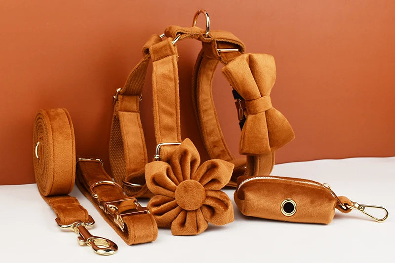 Ancient Pottery Velvet Personalized Dog Collar, Leash & Harness Set