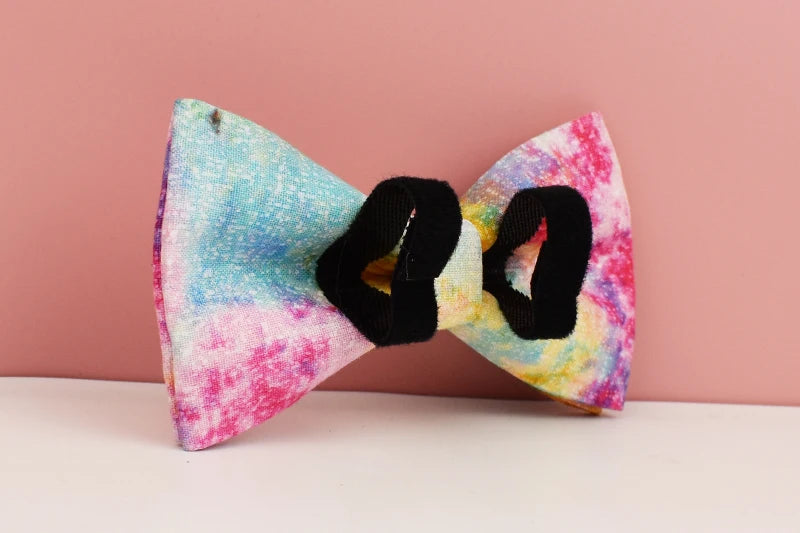 Personalized Dog Collar, Leash & Harness Set