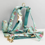 Personalized Dog Collar, Leash & Harness Set