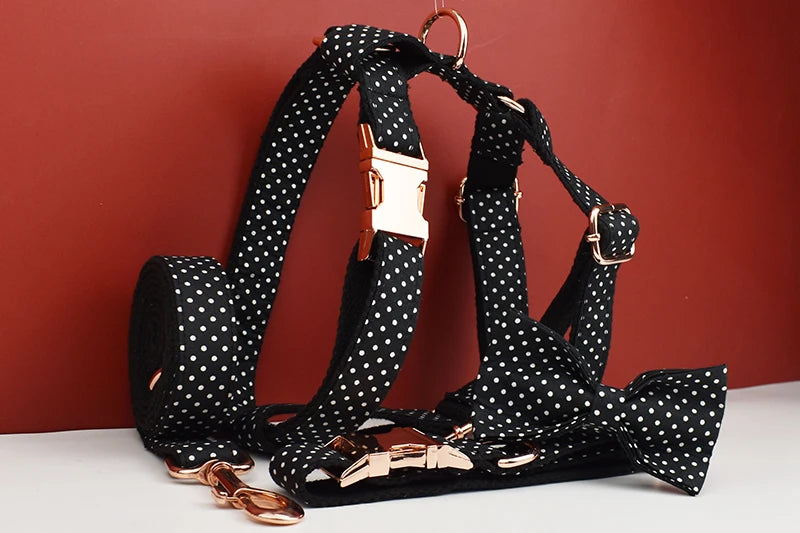 Personalized Dog Collar, Leash & Harness Set