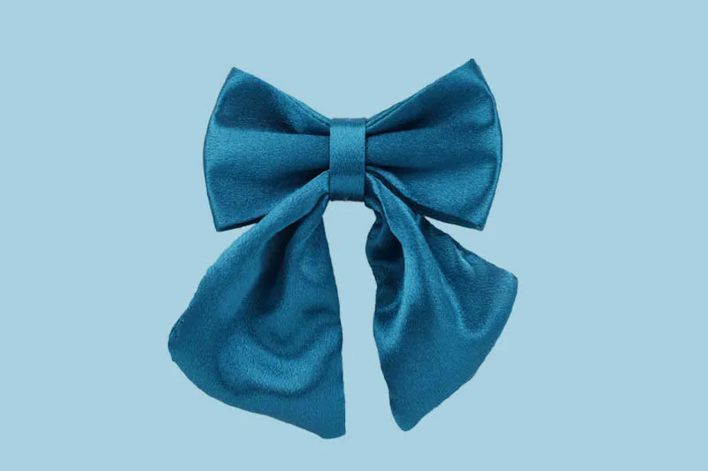 Personalized Dog Collar, Leash & Harness Set