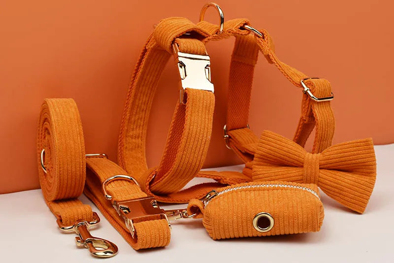 Orange Corduroy Personalized Dog Collar, Leash & Harness Set