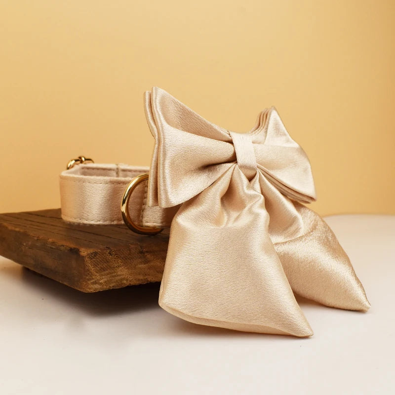 Personalized Dog Collar, Leash & Harness Set