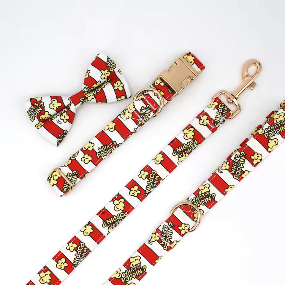 Pupcorn Party Dog Collar and Leash Set