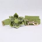 Green Polka Dot Floral Dog Collar and Leash Set