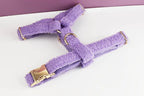 Teddy Velvet Personalized Dog Collar, Leash & Harness Set