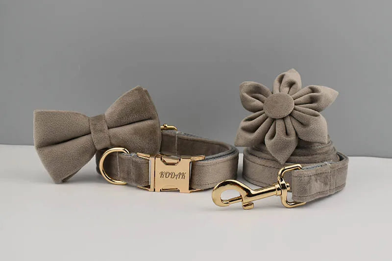 Light grey Velvet Personalized Dog Collar, Leash & Harness Set