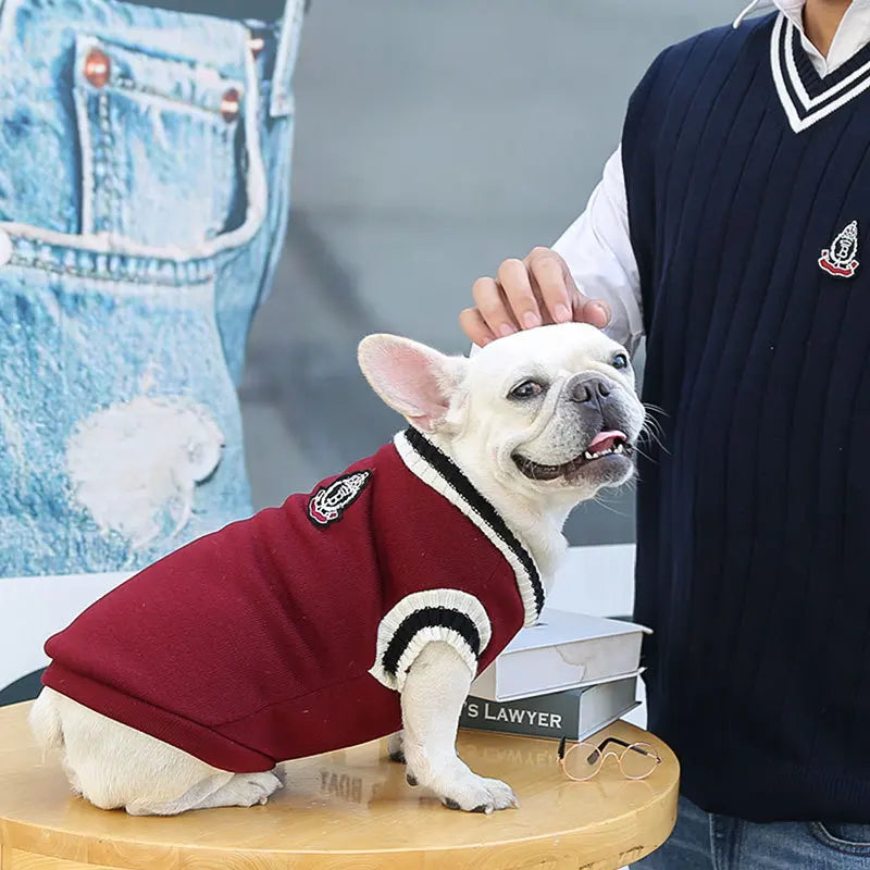 Winter Knit Dog Sweater – College Style V-Neck Warm Pet Vest for Small Dogs