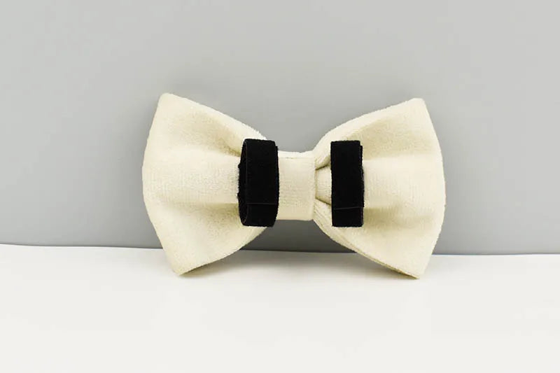 Milky White Velvet Personalized Dog Collar, Leash & Harness Set