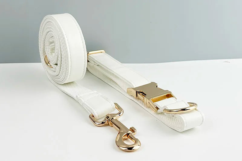 White Leather Personalized Dog Collar, Leash & Harness Set