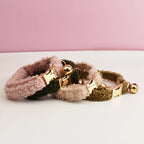 Teddy Personalized Cat Dog Collar, Leash & Harness Set