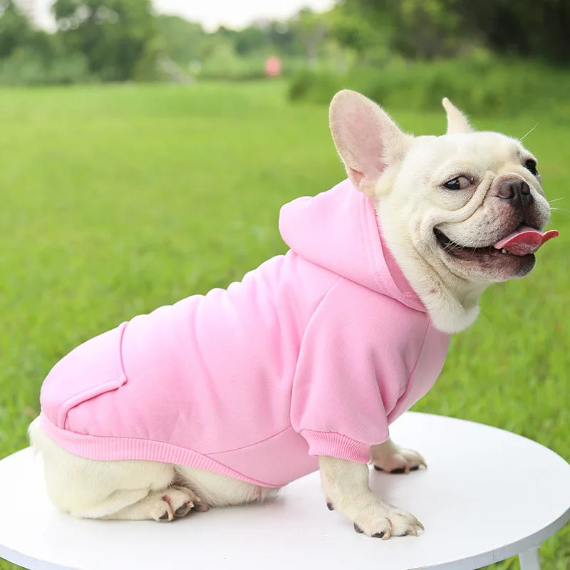 Cozy Winter Dog Hoodie – Warm Hooded Jacket for Small & Medium Dogs