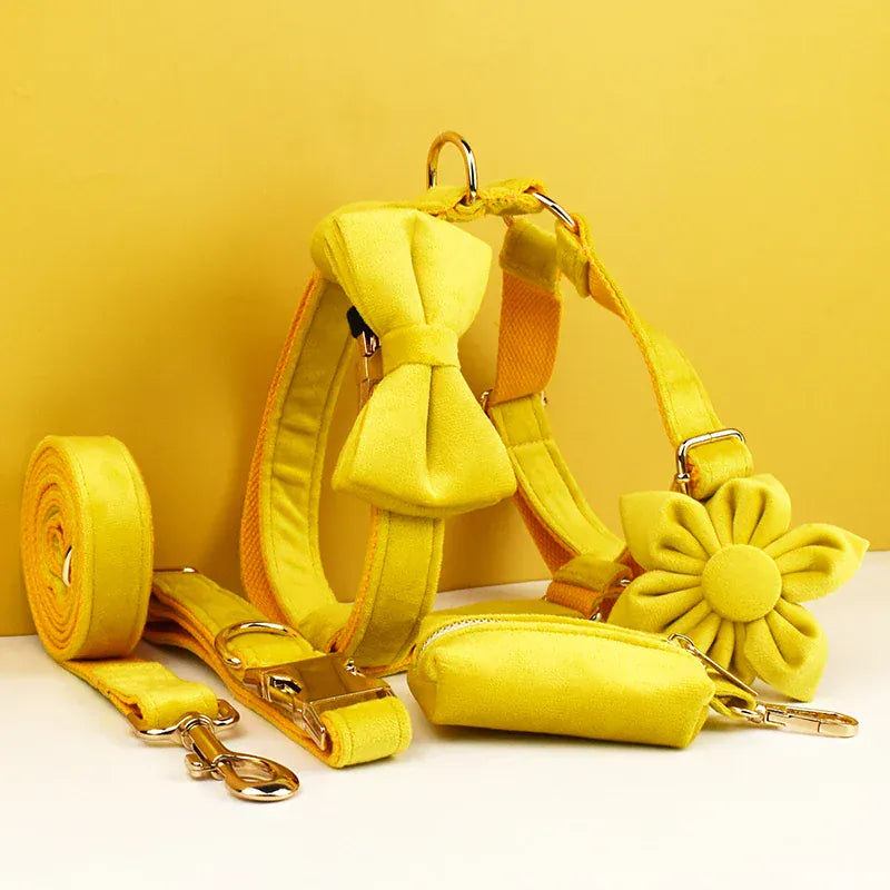 Yellow Velvet Set