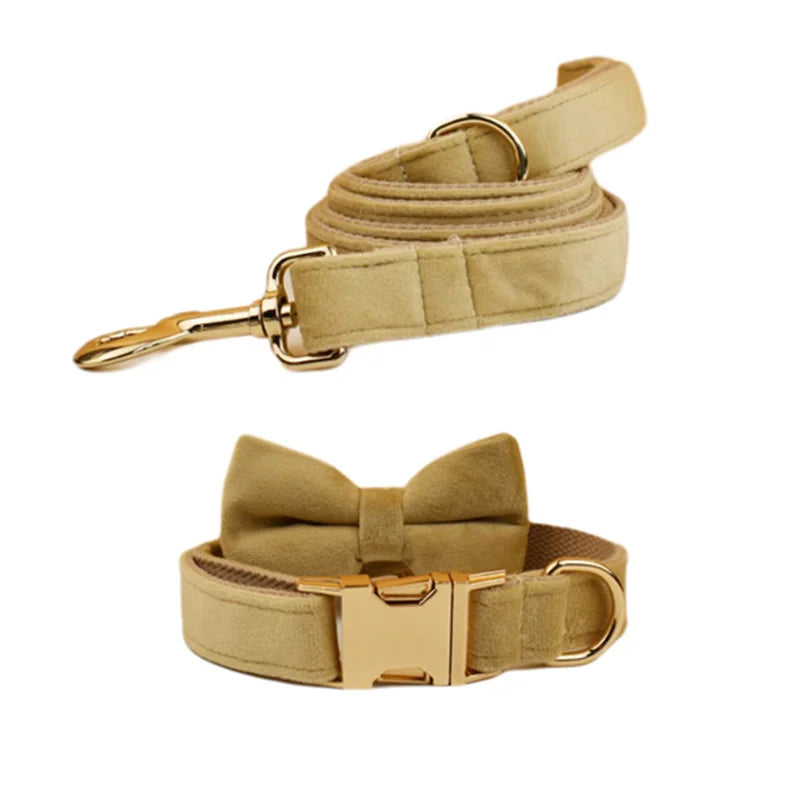 Nude Velvet Personalized Dog Collar, Leash & Harness Set