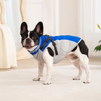 Waterproof Dog Jacket with Harness – Warm Winter Coat for Small to Large Dogs