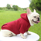 Cozy Winter Dog Hoodie – Warm Hooded Jacket for Small & Medium Dogs
