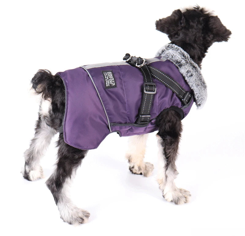 Winter Dog Jacket with Harness – Waterproof, Windproof Coat for Small & Medium Dogs