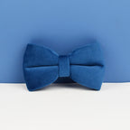 Blue Velvet Personalized Dog Collar, Leash & Harness Set