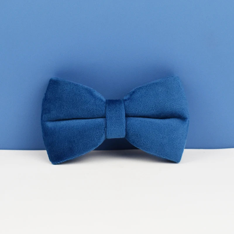 Blue Velvet Personalized Dog Collar, Leash & Harness Set