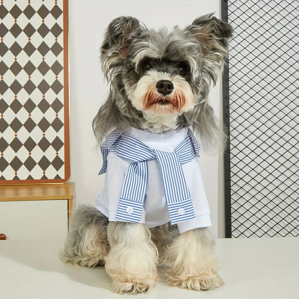 Summer Dog T-Shirt – Lightweight, Breathable Pet Shirt for Small & Medium Dogs