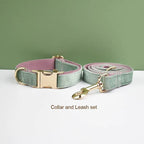 DDPaws  Collar + Leash / XS Mint Green Pink Velvet Set