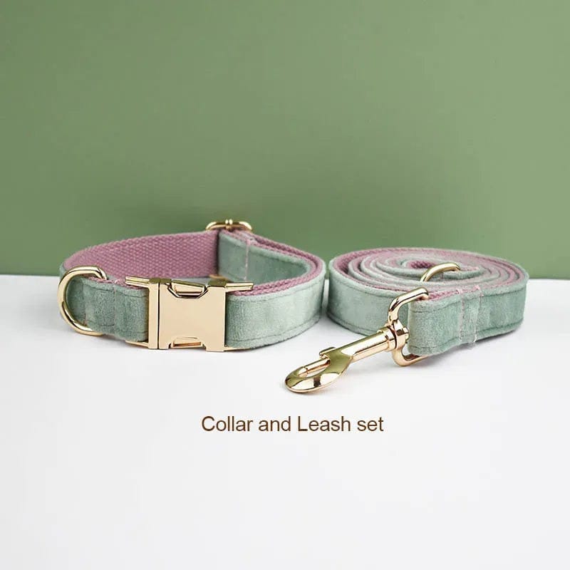DDPaws  Collar + Leash / XS Mint Green Pink Velvet Set