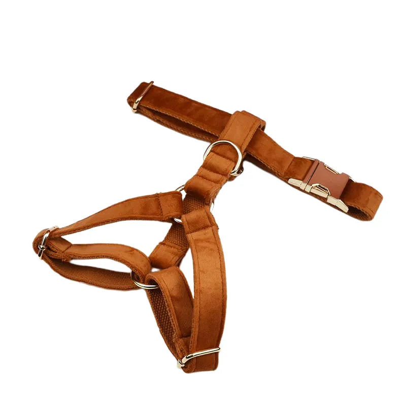 Ancient Pottery Velvet Personalized Dog Collar, Leash & Harness Set