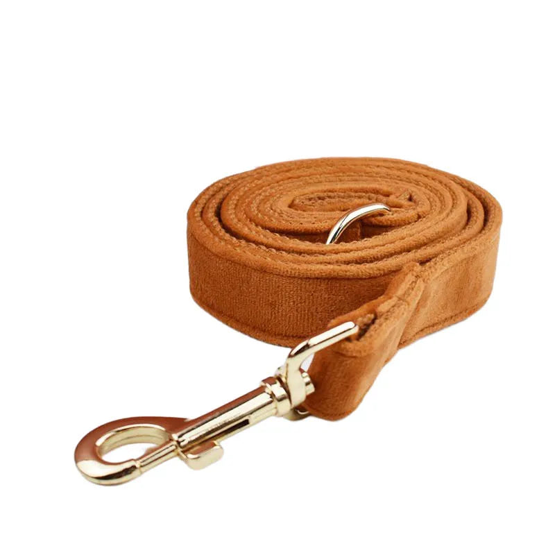 Ancient Pottery Velvet Personalized Dog Collar, Leash & Harness Set