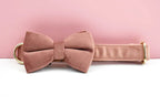 Pink Velvet Personalized Dog Collar, Leash & Harness Set