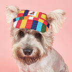 Dog Sun Hat – Adjustable Canvas Baseball Cap for Small & Medium Dogs