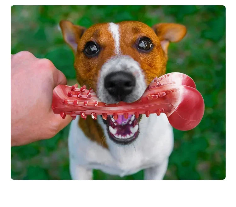 Natural Rubber Dog Bone – Durable Chew Toy for Teeth Cleaning & Training