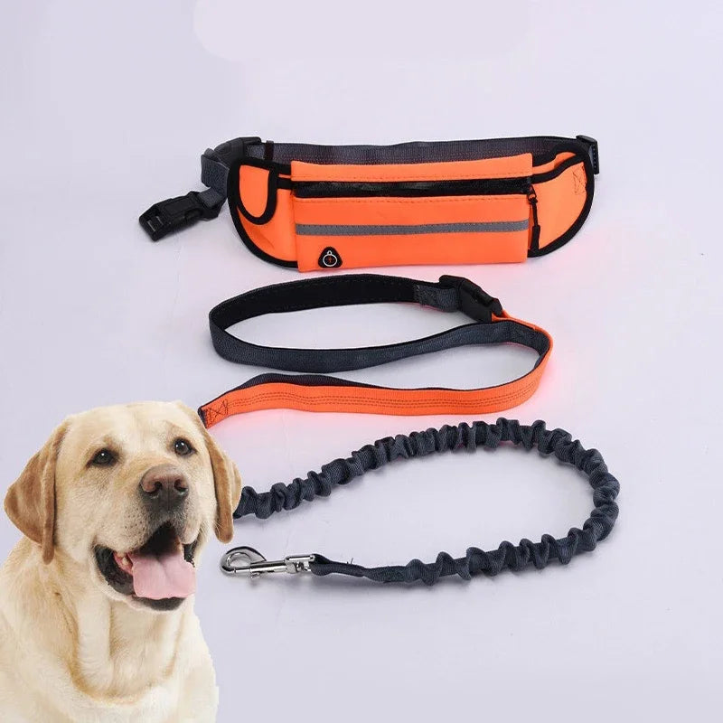 Hands-Free Dog Leash with Waist Bag – Reflective Elastic Running & Walking Leash