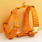 DDPaws  Harness / XS Halloween Pumpkin Print Set