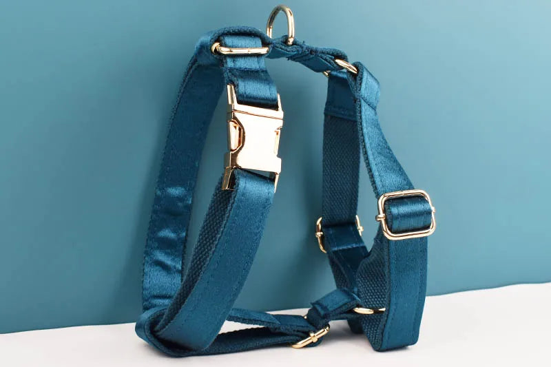 Personalized Dog Collar, Leash & Harness Set