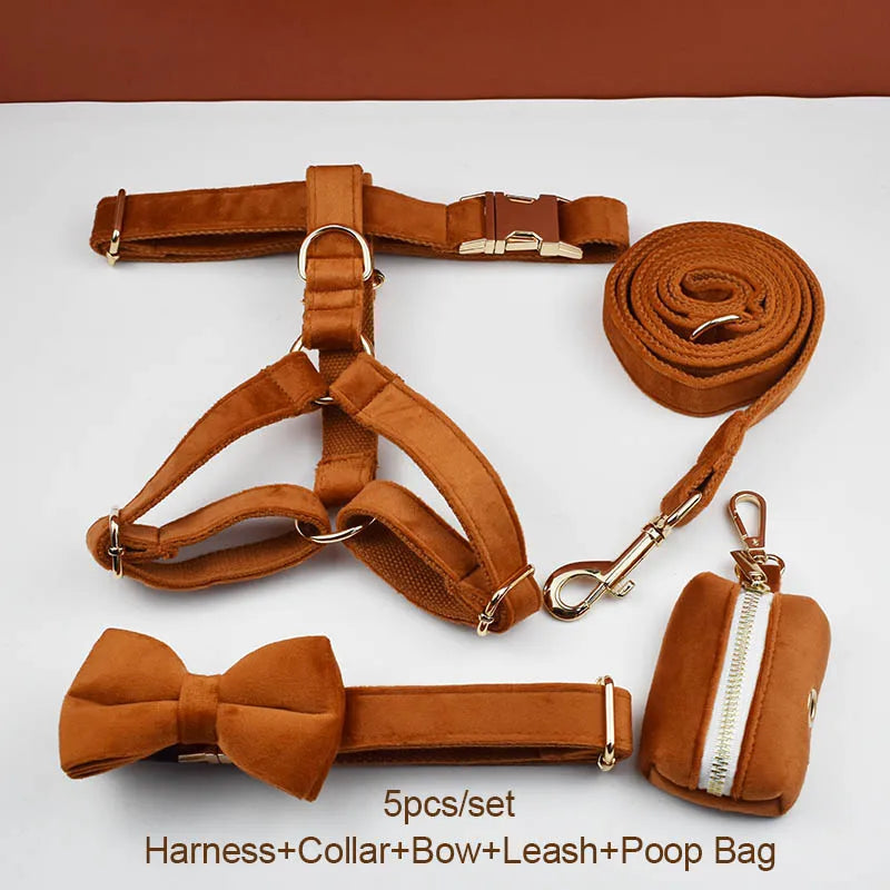 Ancient Pottery Velvet Personalized Dog Collar, Leash & Harness Set