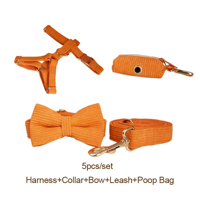 Orange Corduroy Personalized Dog Collar, Leash & Harness Set