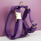 Purple Velvet Personalized Dog Collar, Leash & Harness Set