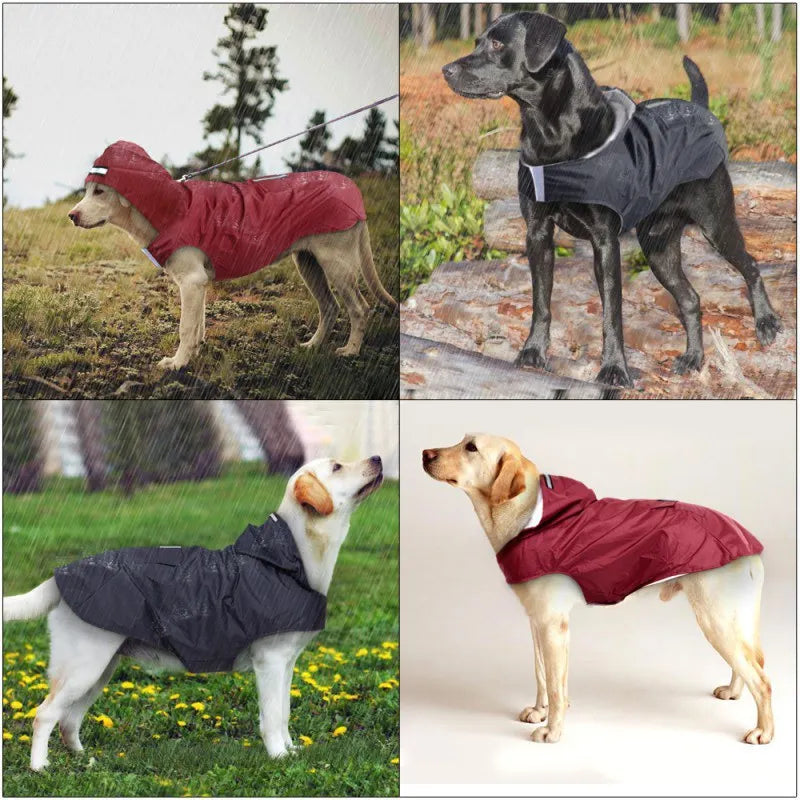 Waterproof Dog Raincoat with Reflective Stripe – Lightweight Hooded Poncho for All Seasons