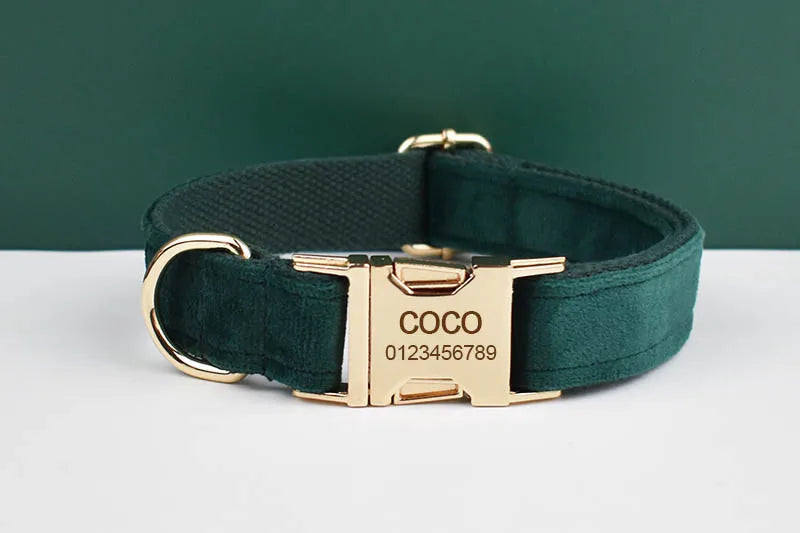 Green Velvet Personalized Dog Collar, Leash & Harness Set