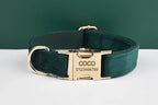 Green Velvet Personalized Dog Collar, Leash & Harness Set