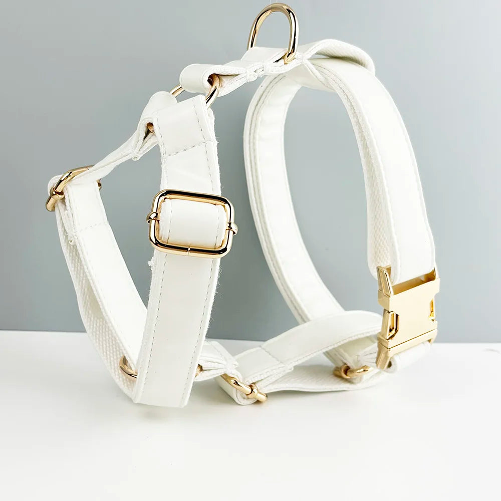 White Leather Personalized Dog Collar, Leash & Harness Set