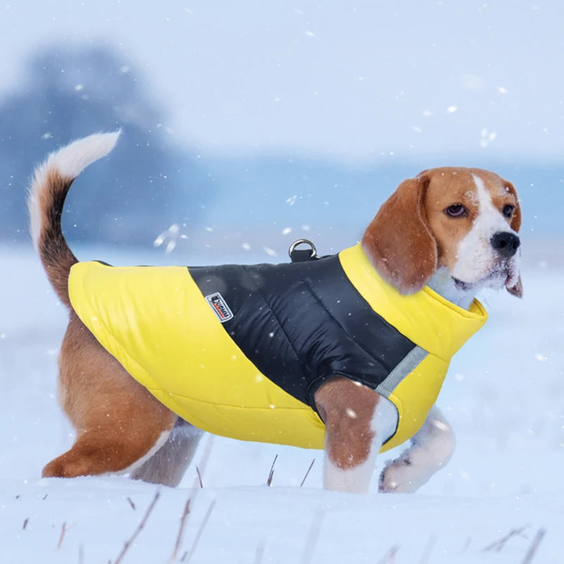 Waterproof Winter Dog Vest – Warm, Padded Coat for Small & Large Breeds