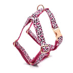DDPaws  Harness / XS Pink Leopard Velvet Set