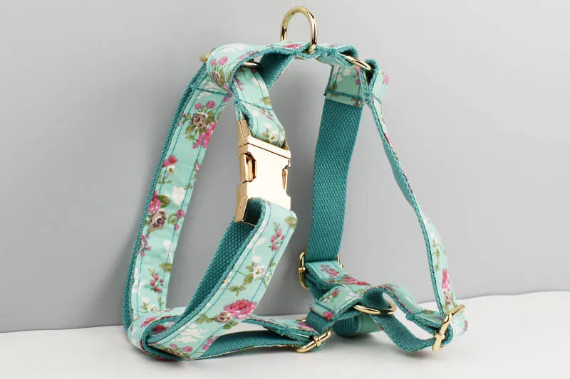 Personalized Dog Collar, Leash & Harness Set